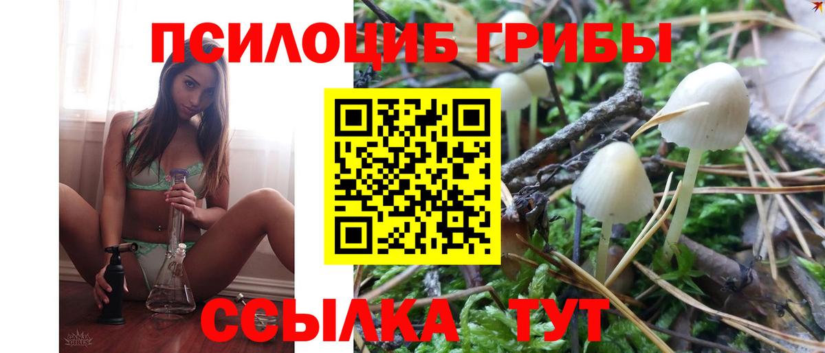 Псилоцибиновые грибы Psilocybe  Вход с VPN  Алейск 
